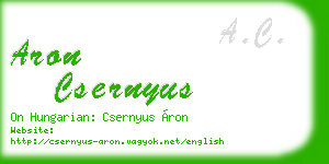 aron csernyus business card