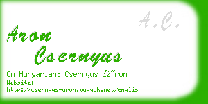aron csernyus business card